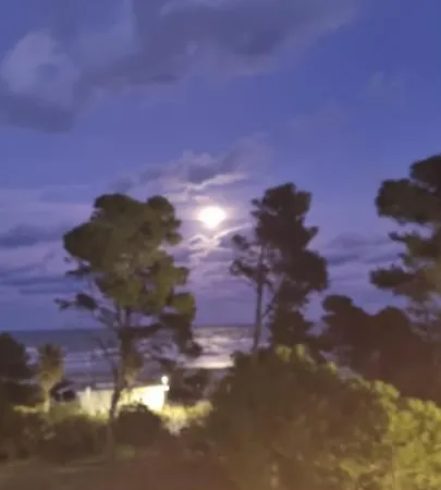 Casamare Royal