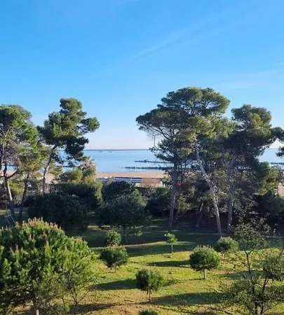 Casamare Royal *