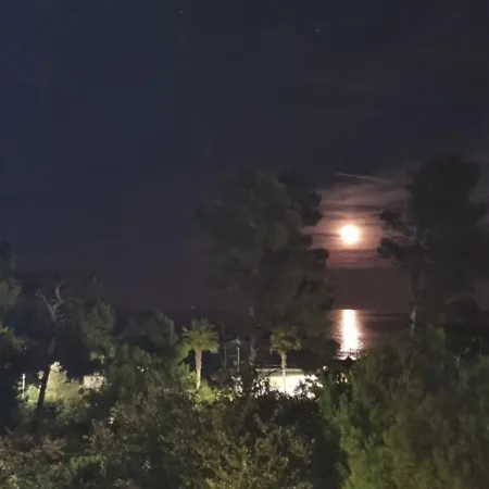 Apartment Casamare Royal *