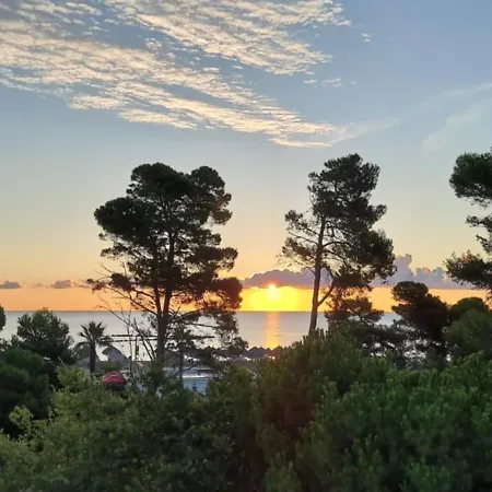 Casamare Royal *